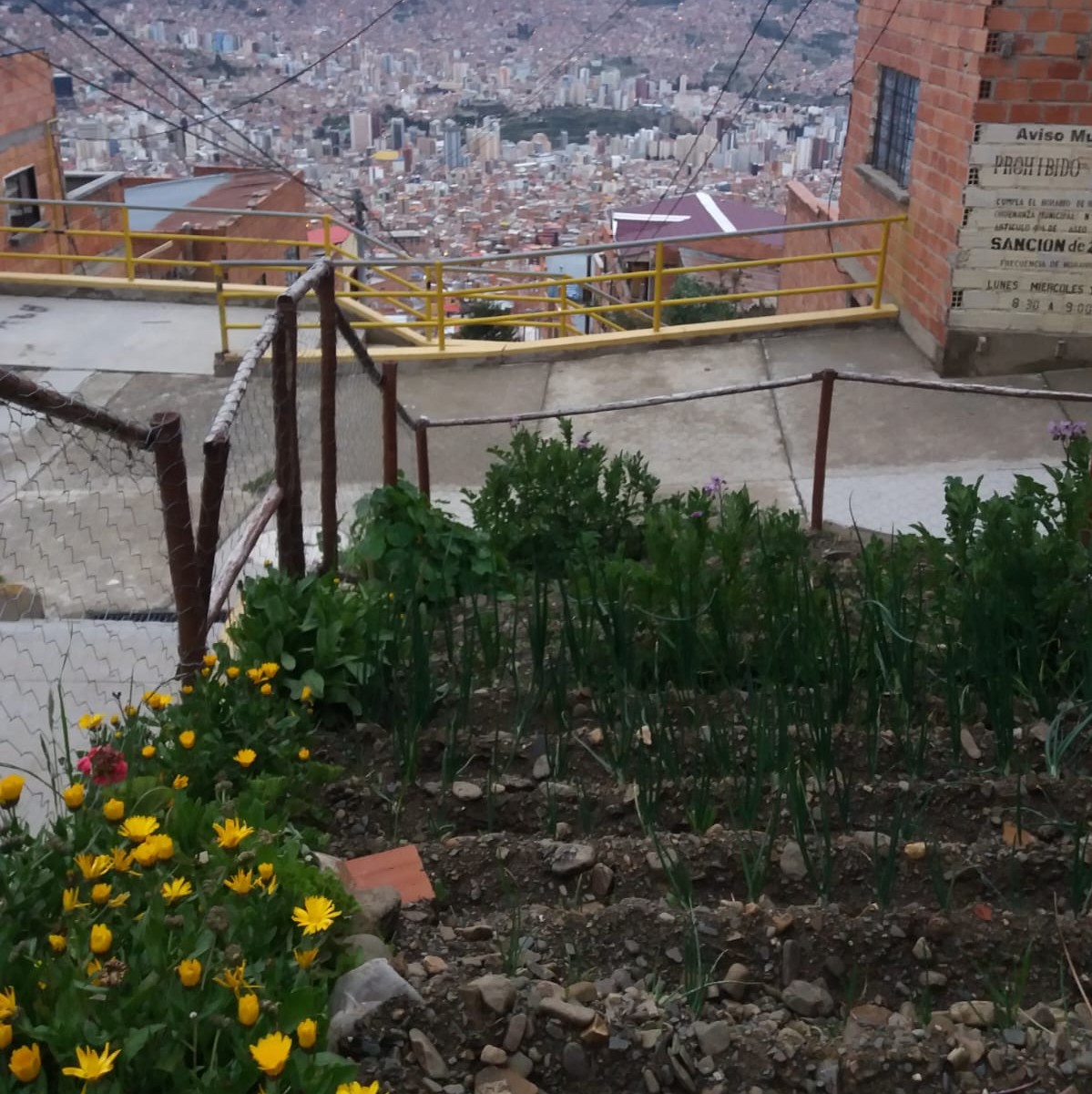 Educador popular: Hay que saber trabajar los métodos de crianza de la comunidad con los más jóvenes